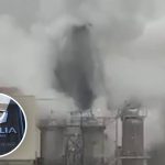 Fiscalía descarta daño ambiental “por ahora” tras investigación en curso a Celulosa Arauco