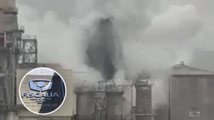 Fiscalía descarta daño ambiental “por ahora” tras investigación en curso a Celulosa Arauco