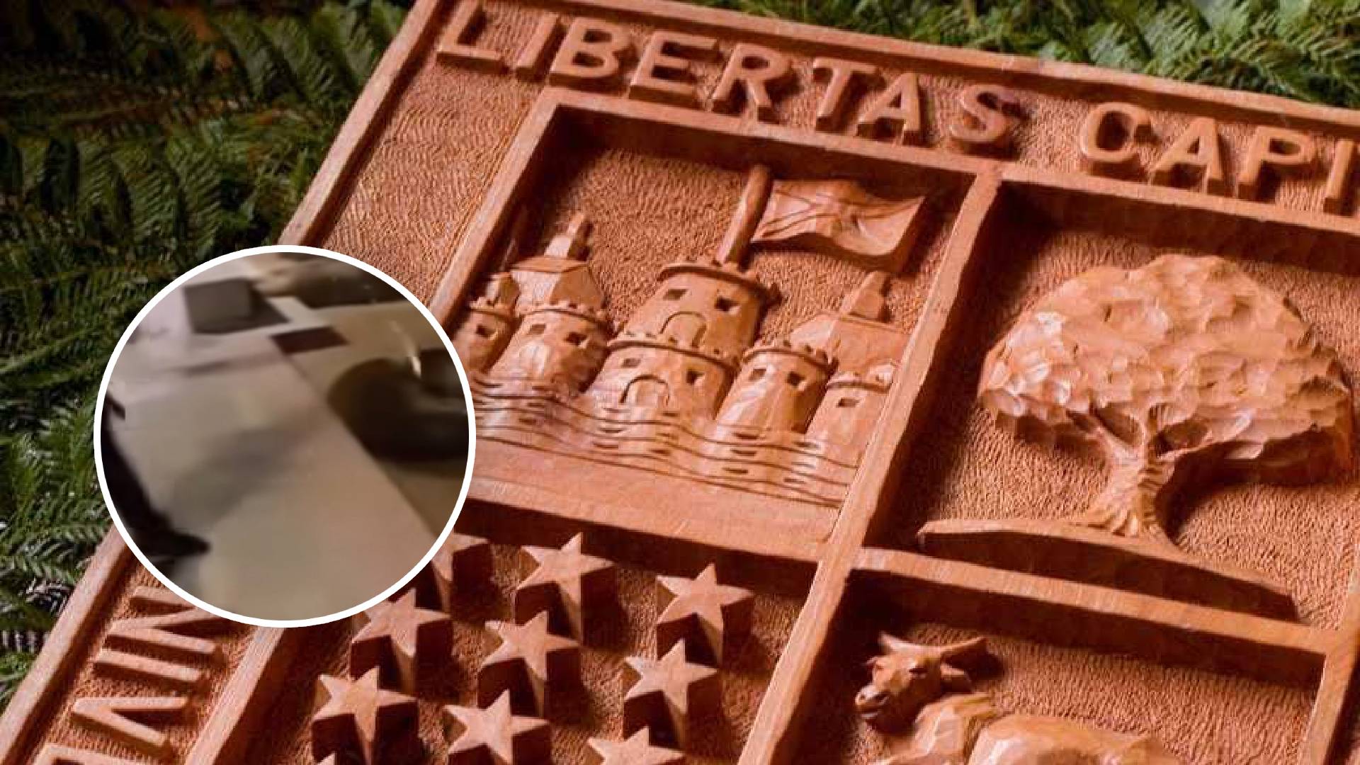UACh confirma que “analizarán” eventual expulsión de alumno condenado por ataque a lobos marinos