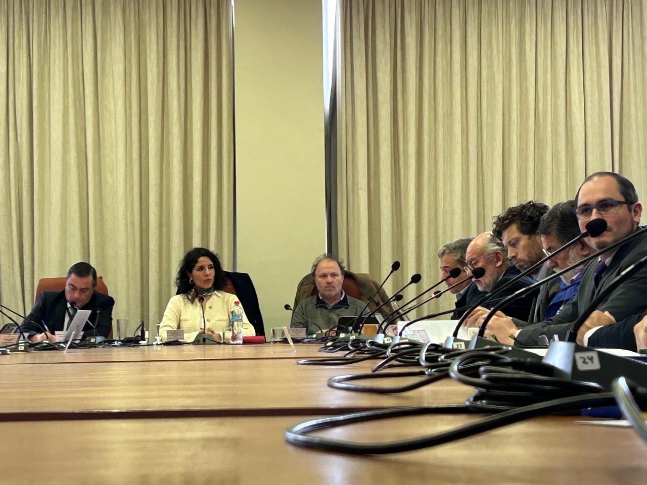 Comisión de Obras Públicas del Senado sesiona en Valdivia para analizar proyecto del puente Cochrane