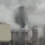 SMA inicia investigación por derrame en planta de Celulosa Arauco en Mariquina