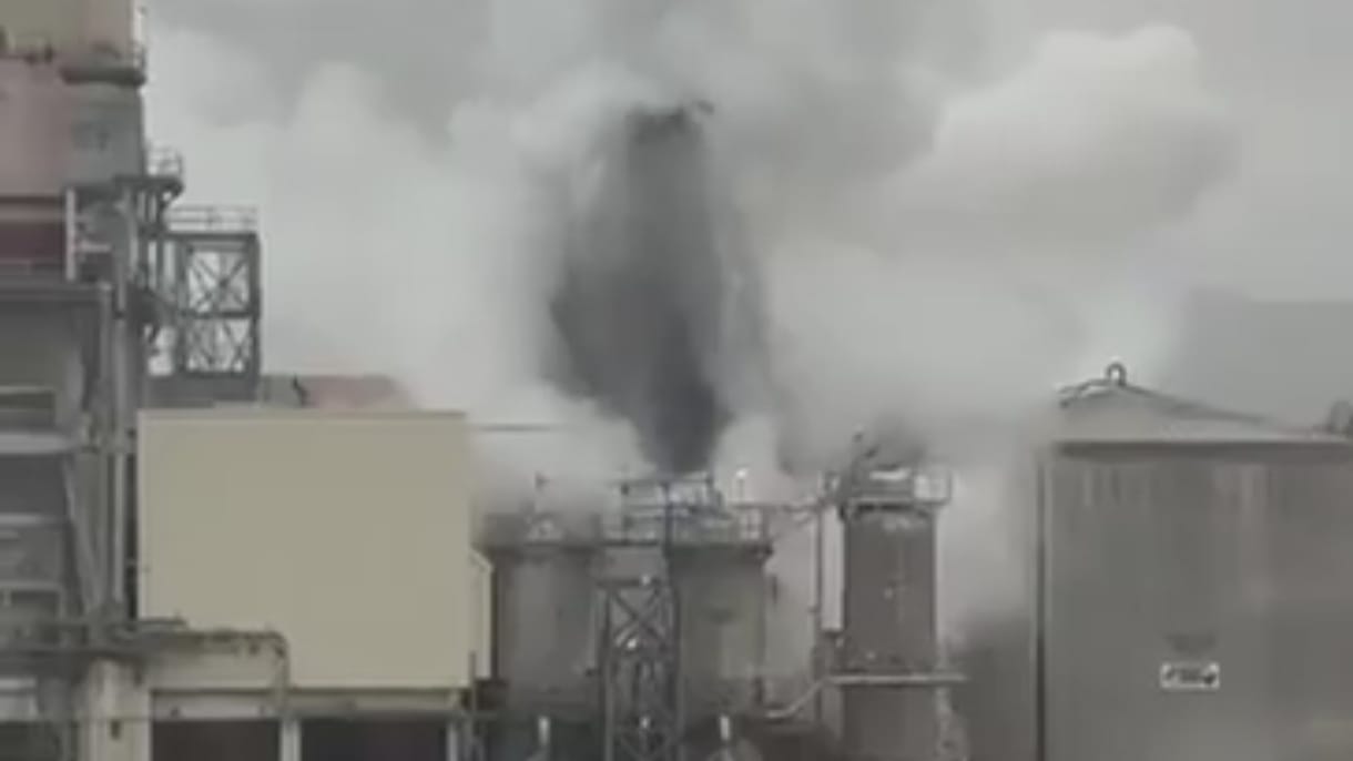 SMA inicia investigación por derrame en planta de Celulosa Arauco en Mariquina