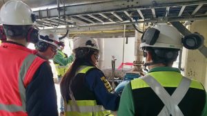 Tras derrame en planta de Mariquina: Investigan a Celulosa Arauco por eventual contaminación en río Cruces