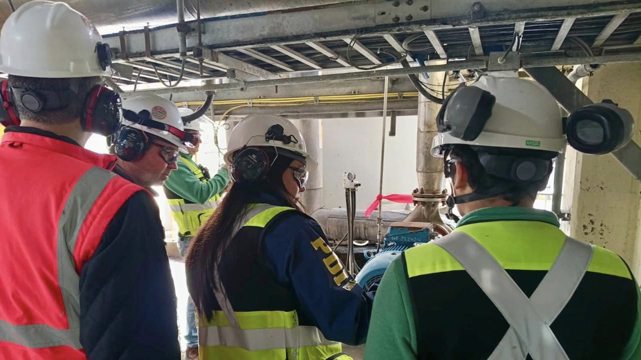Tras derrame en planta de Mariquina: Investigan a Celulosa Arauco por eventual contaminación en río Cruces