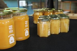 Primera versión del Festival de Las Abejas y La Miel de Los Ríos se realiza en el Parque Saval de Valdivia