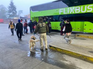 Un fallecido y 17 accidentes de tránsito dejó el fin de semana largo en Los Ríos