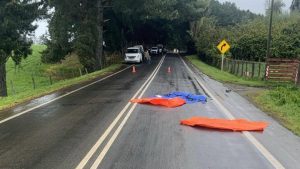 Hombre muere tras ser atropellado por conductor que se dio a la fuga en La Unión
