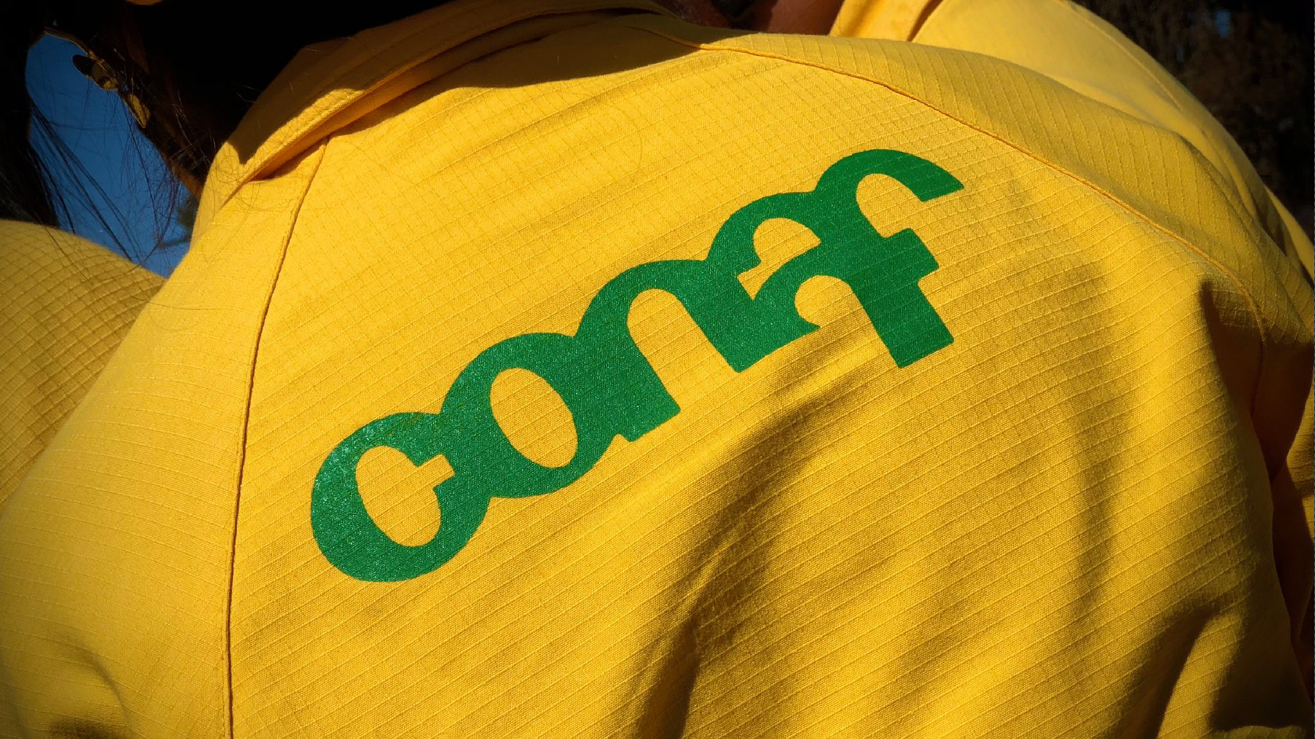 CONAF abre 120 cupos para brigadistas forestales en Los Ríos para la temporada 2025-2026