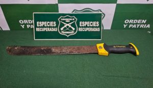 Dos detenidos en Panguipulli por brutal agresión con machete y amenazas de muerte