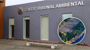 Tribunal reagenda audiencia por caducidad de RCA de polémico proyecto salmonero en el río San Pedro