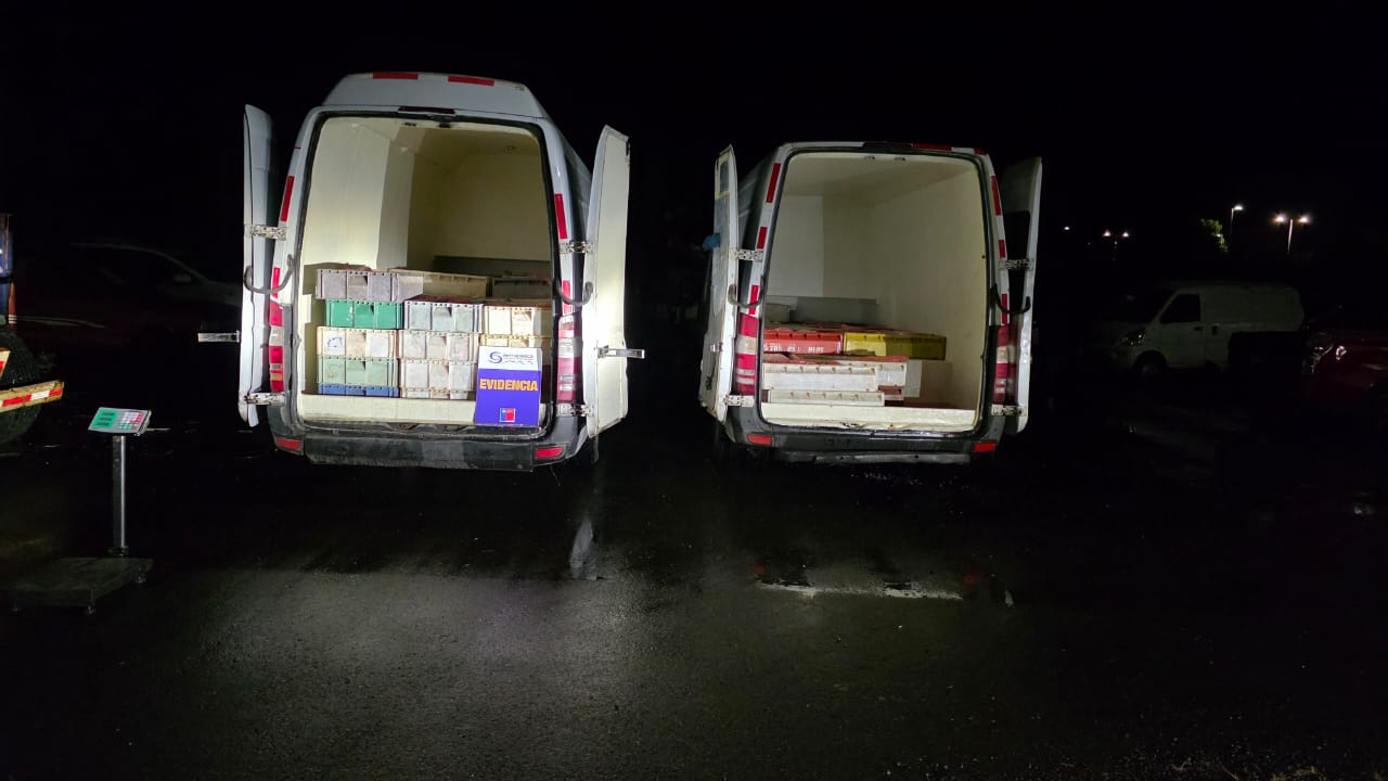 Incautan más de 15 toneladas de productos del mar sin documentación legal en La Unión y Máfil