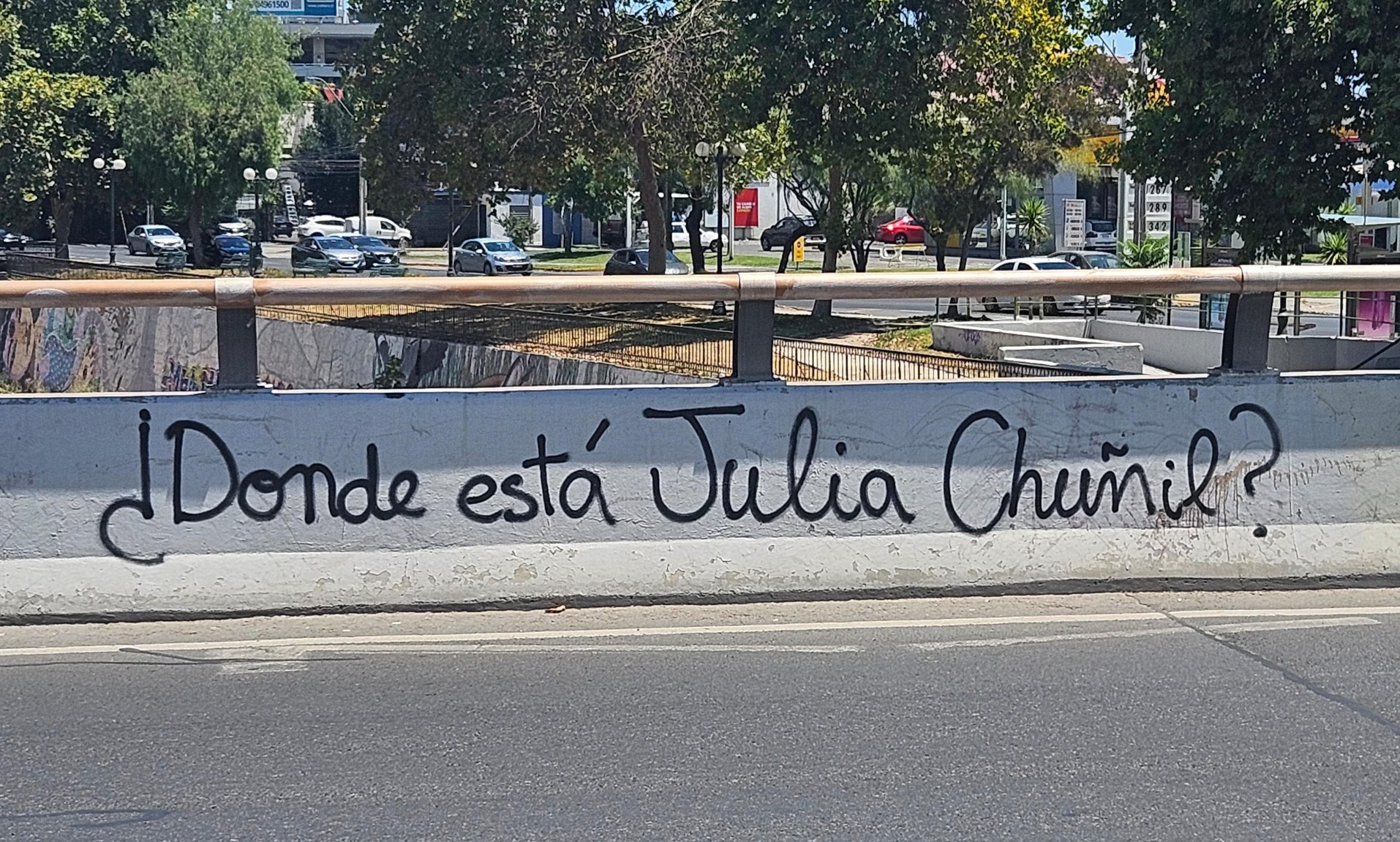 Madre de empresario vinculado al caso de Julia Chuñil denunció amenazas tras nueva revelación