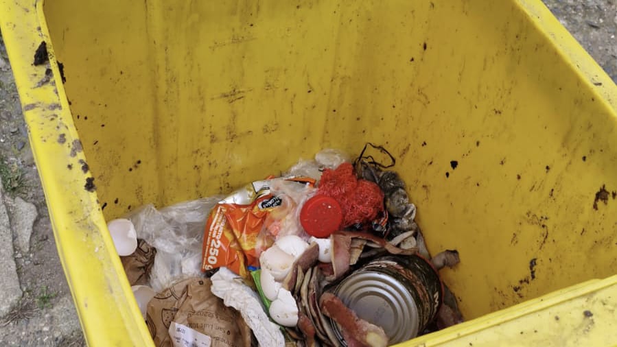 Entregaron más de 10 mil contenedores para reciclar en Valdivia pero muchos se usan para basura común