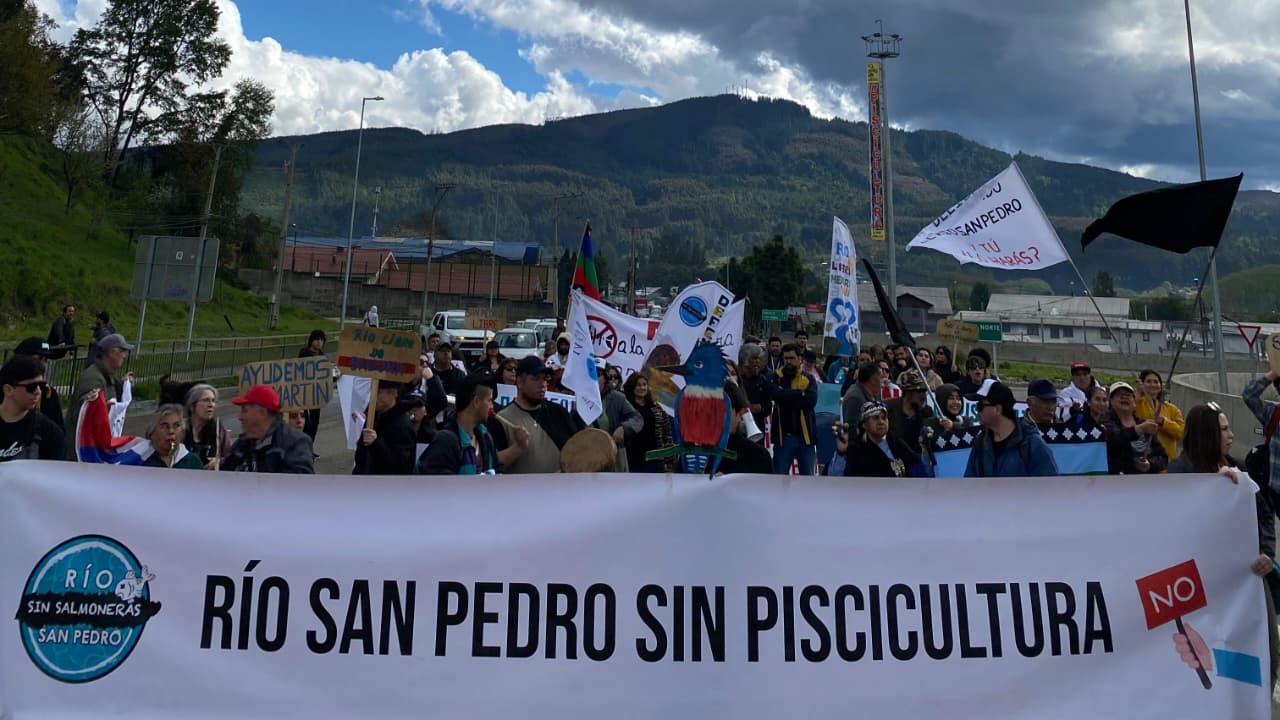 Solicitan al Tribunal Ambiental la suspensión total de obras de polémico proyecto salmonero en Los Lagos