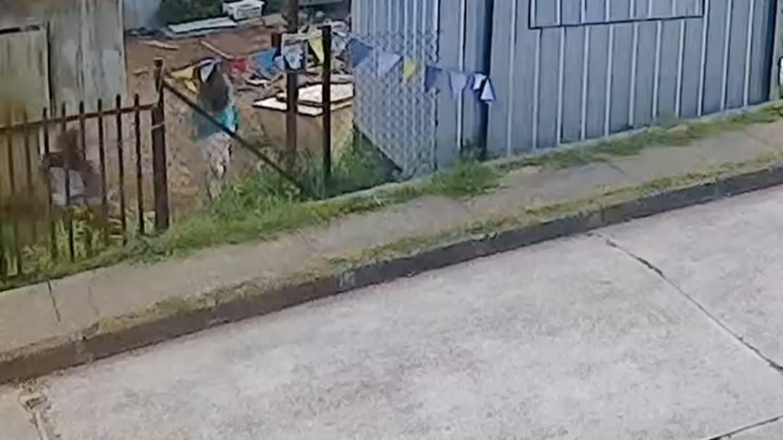 Pareja fue detenida tras ingresar a robar a un domicilio en Niebla y atacar al dueño de casa