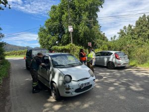 Valdivia refuerza plan antiincendios: Patrullajes intercomunales y nuevos cortafuegos para enfrentar el verano