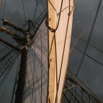 A 175 años de la llegada del Hermann, un viaje para pensar nuestro país