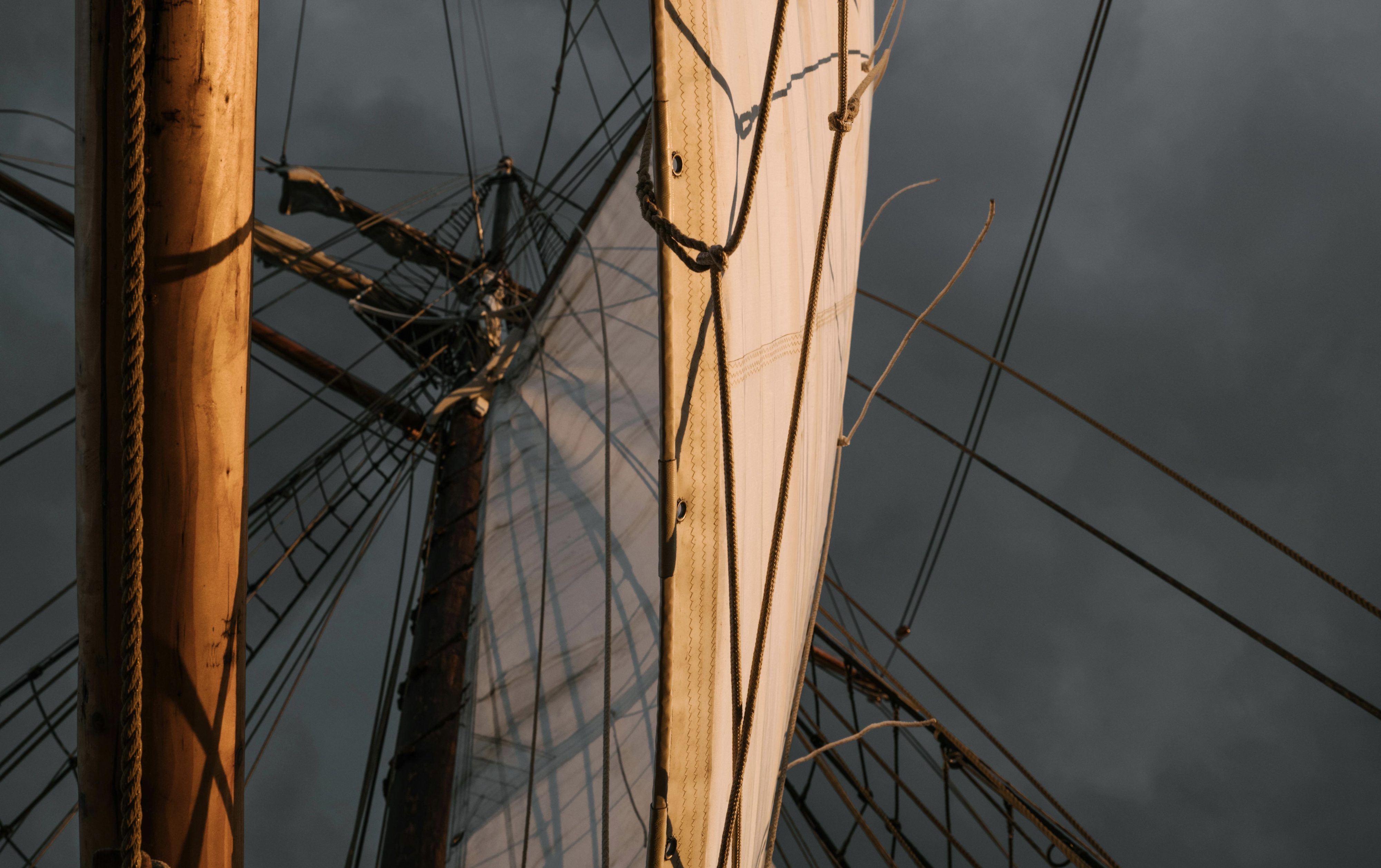 A 175 años de la llegada del Hermann, un viaje para pensar nuestro país