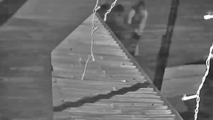 Pareja es declarada culpable por brutal homicidio en sector Las Ánimas de Valdivia