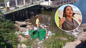 “No cuesta tanto”: Amtmann llama a tener conciencia por basura en la costanera tras show de la Teletón