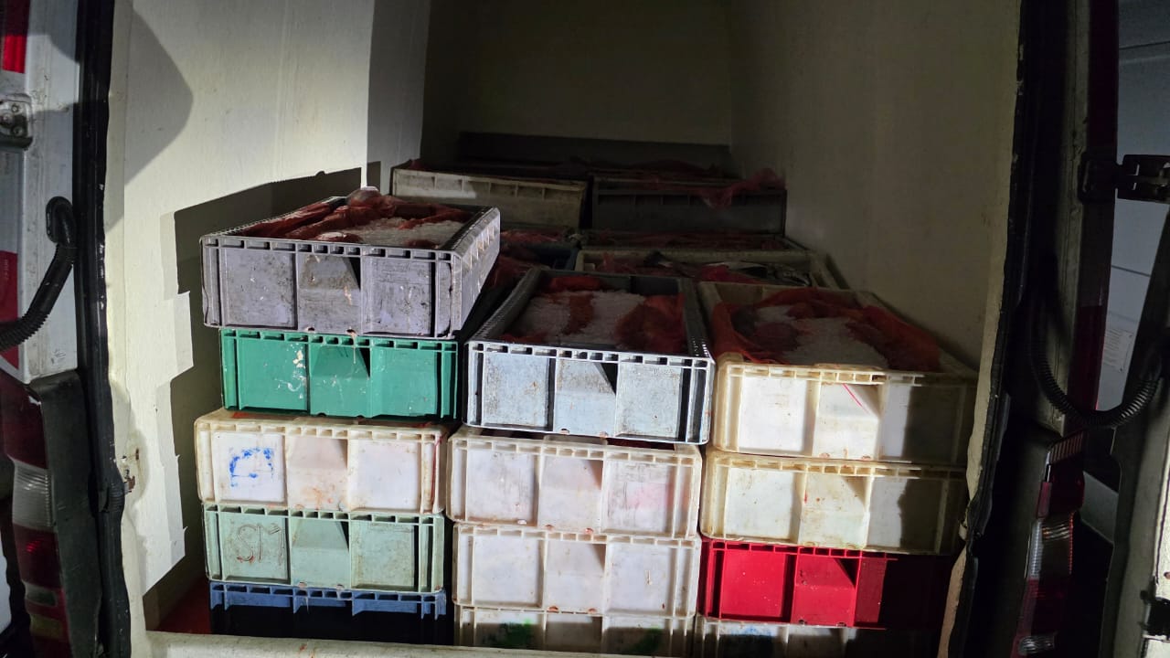 Más de 15 toneladas de recursos marinos sobreexplotados fueron donados a instituciones de Los Ríos