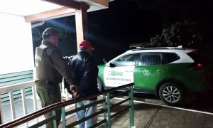 Hombre es detenido por quema no autorizada que afectó 700 m² de especies nativas en La Unión