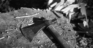 Mató al perro de su hija con un hacha: Hombre fue detenido por violencia intrafamiliar y maltrato animal en Valdivia