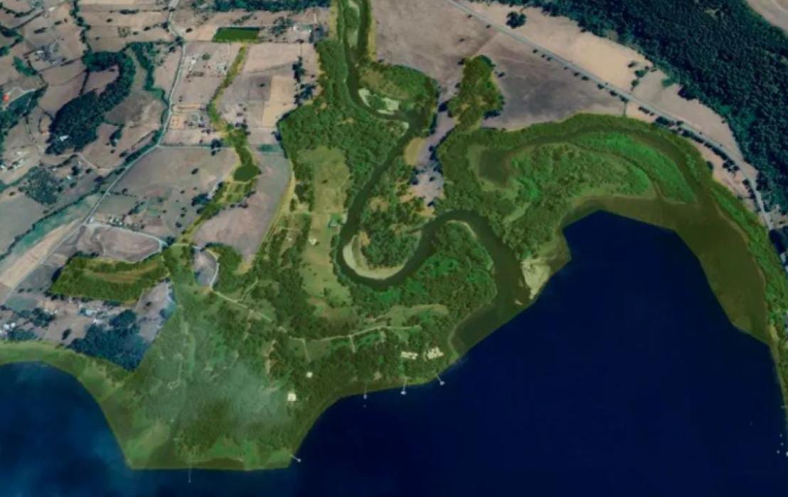 Tribunal Ambiental anula ordenanza municipal que protegía humedales rurales en Panguipulli