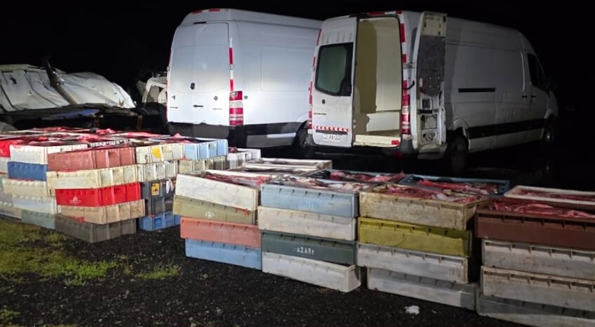 Los Ríos: Formalizan a dos imputados sorprendidos con 17 toneladas de recursos marinos sobreexplotados