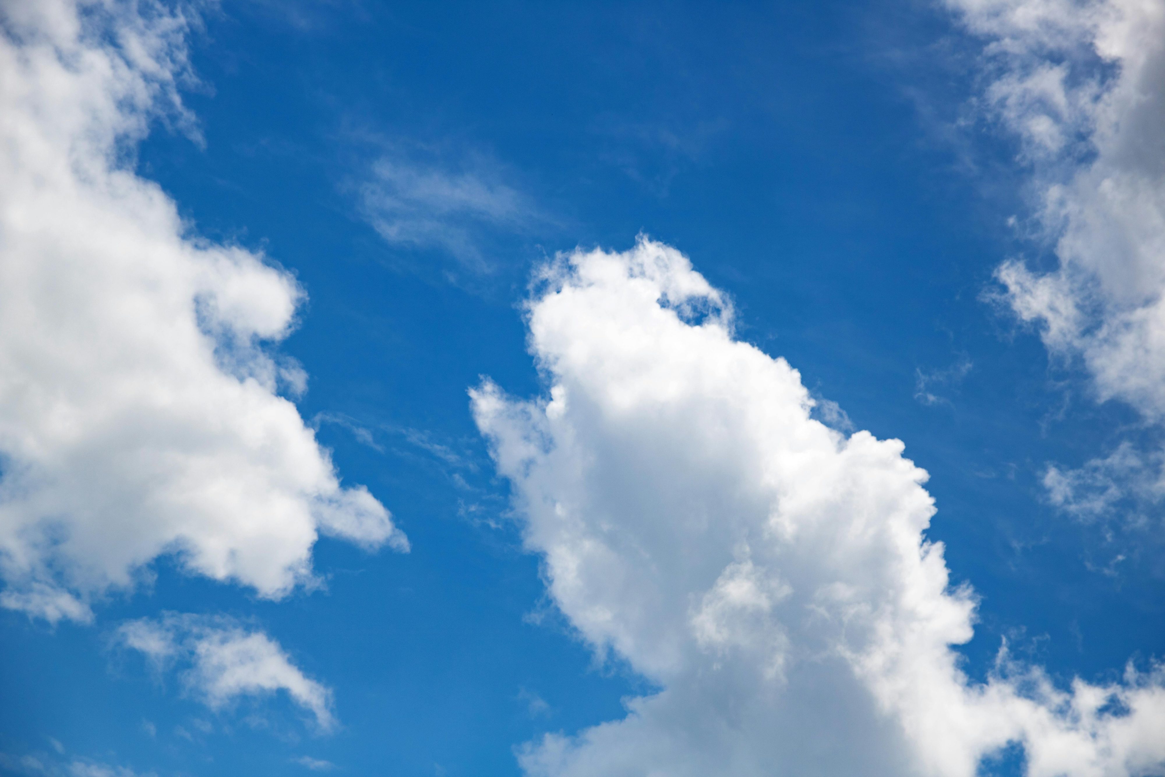 Elecciones 2025: ¿Cómo está el tiempo durante este domingo en la Región de Los Ríos?