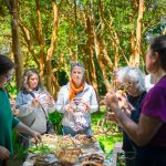 Festival de las Plantas vuelve a Valdivia: Tres días de arte, naturaleza y saberes en Los Molinos