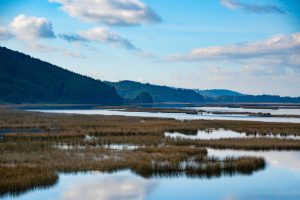 Valdivia será epicentro mundial de las Ciudades Humedal en 2027 y proyecta importante impacto económico