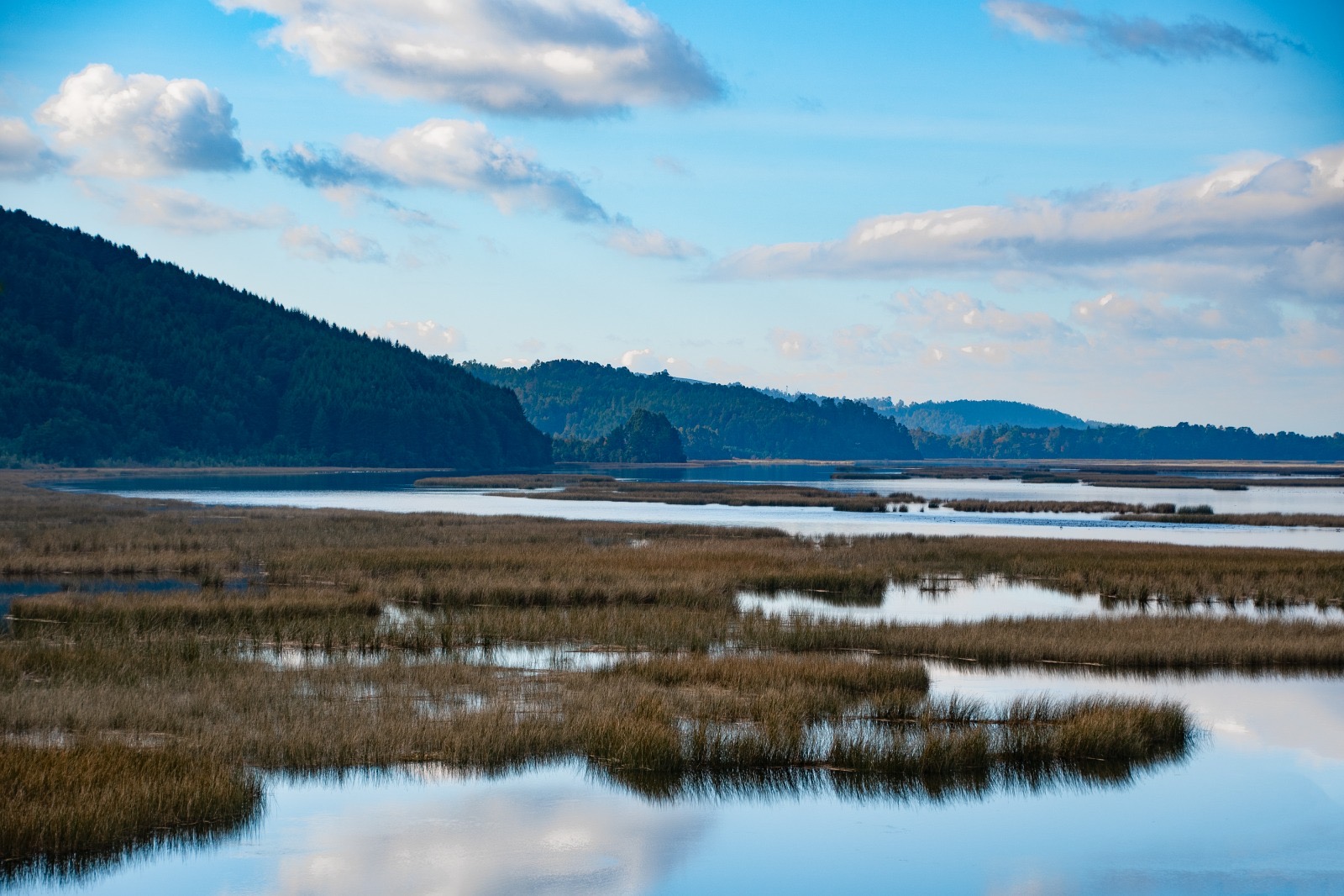 Valdivia será epicentro mundial de las Ciudades Humedal en 2027 y proyecta importante impacto económico