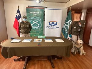 Detienen a extranjero con casi 4 kilos de pasta base durante control carretero en La Unión