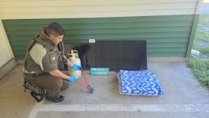 Tres detenidos por robo en cabañas de Pilolcura: Carabineros los interceptó con especies sustraídas