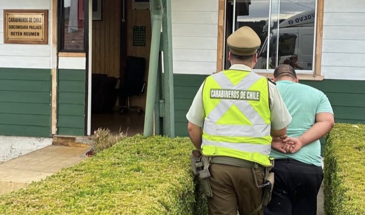 Detienen a conductor con 50 vacas y documentación falsa en ruta de Reumén