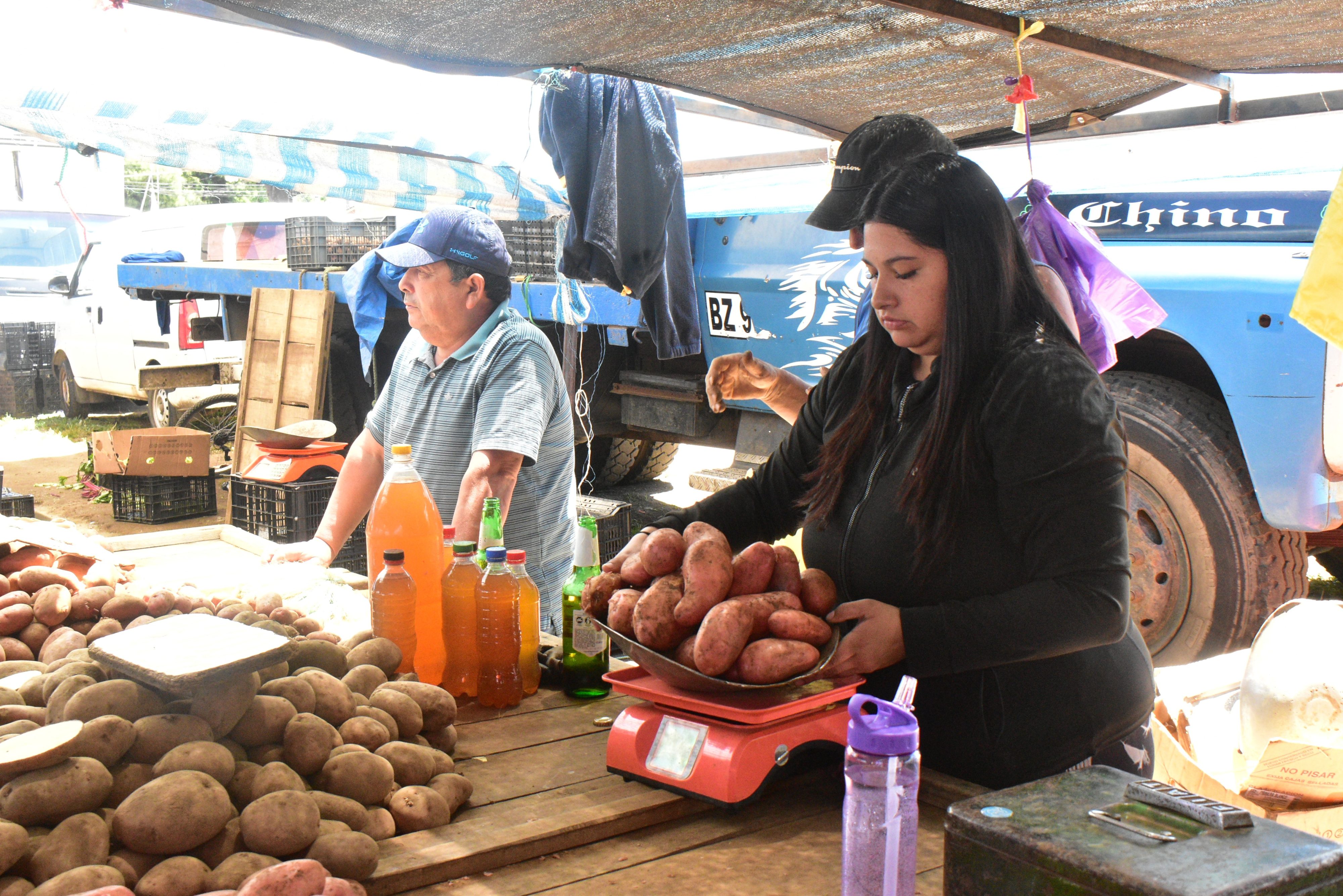 Más del 80% de encuestados creen que la Feria Central Techada es una necesidad en Valdivia