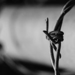 Asalto en domicilio con víctimas retenidas en Paillaco termina con un imputado en prisión