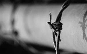 Imputado quedó preso tras intentar matar a su cónyuge frente a sus hijos en Panguipulli