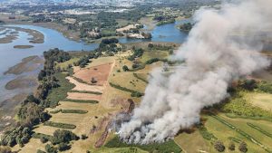 Los Ríos suma 13 hectáreas afectadas por incendios forestales: 60% menos que el año anterior