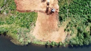 Empresario arriesga 8 años de cárcel y multa millonaria por deforestación y relleno de humedal en Mariquina