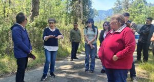 Realizan diligencias por inhumaciones ilegales en Futrono por el caso Chihuio