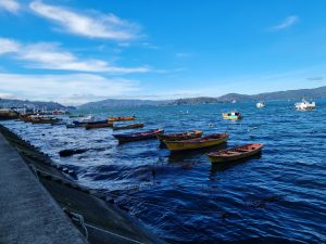 FEDARPEL pide a Contraloría revisar dictamen por efectos en la gobernanza del borde costero