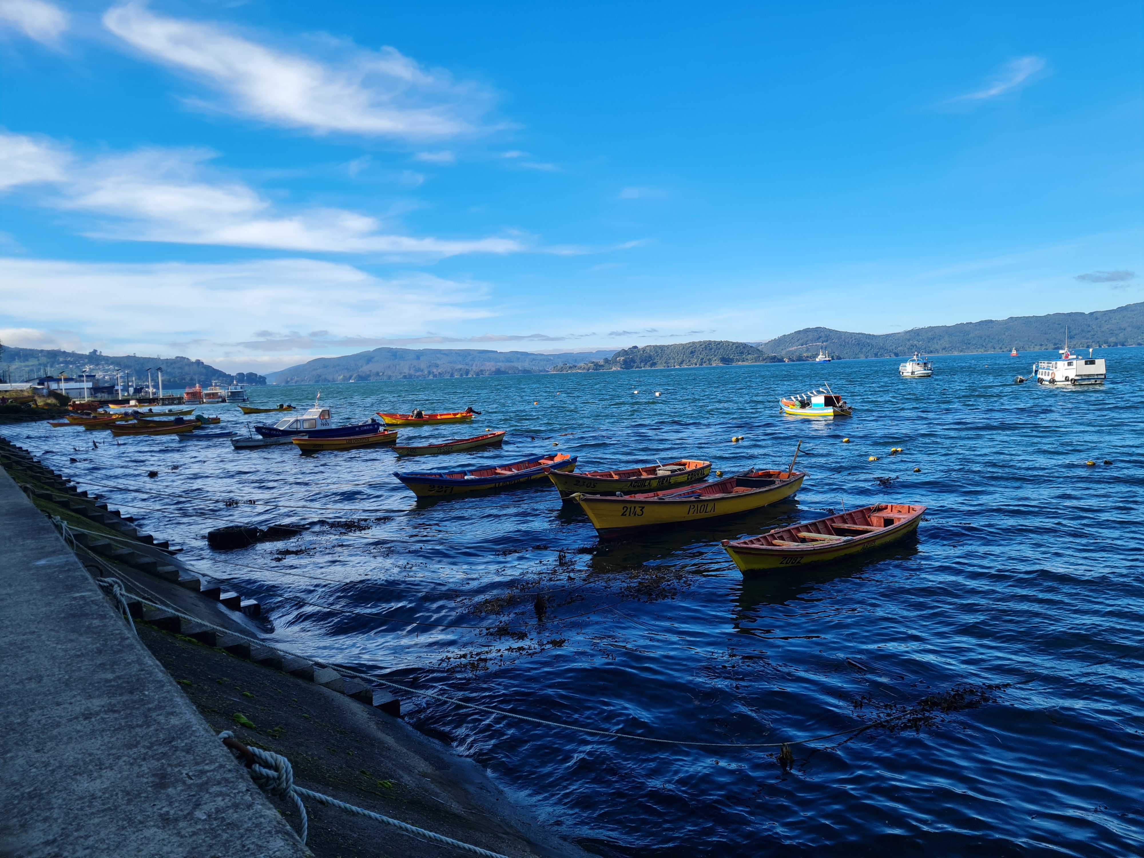 FEDARPEL pide a Contraloría revisar dictamen por efectos en la gobernanza del borde costero