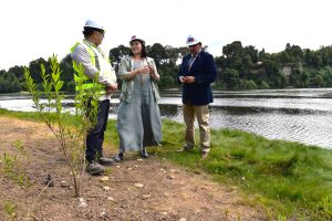 Inician obras del nuevo puente Collilelfu 2 en Los Lagos con inversión de $19.500 millones