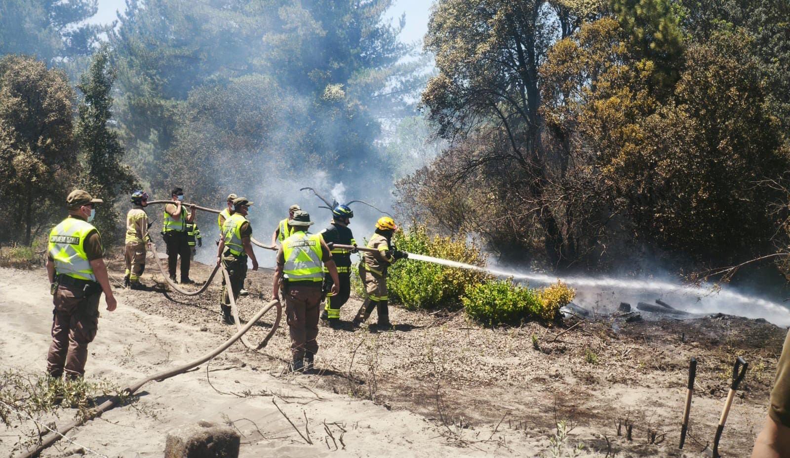 Comunas de Los Ríos habilitan centros de acopio en apoyo a damnificados por incendios en el Ñuble y Biobío