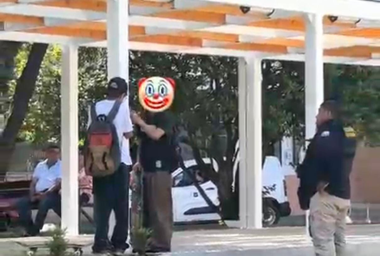 Cámaras captan a jóvenes pegando stickers en nuevas plazas de Valdivia: Debieron retirarlos ellos mismos