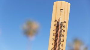 Calor extremo en Los Ríos: Conoce las recomendaciones para enfrentar las altas temperaturas