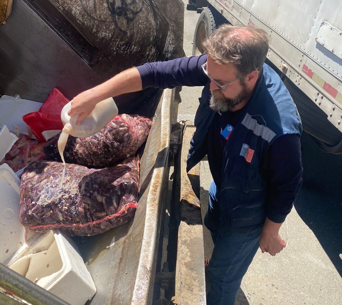 Incautan y destruyen más de seis toneladas de mariscos ilegales en la Ruta 5 Sur