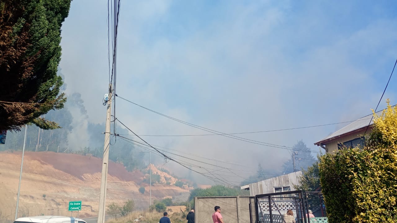 Incendio forestal en el cerro Kunstmann de Valdivia amenaza a viviendas del sector